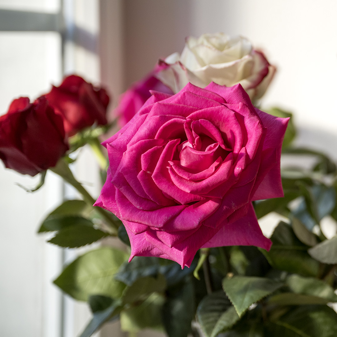 Haben Sie sich auch schon mal gefragt: